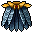 Calopteryx Cape