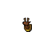 Deer Trophy
